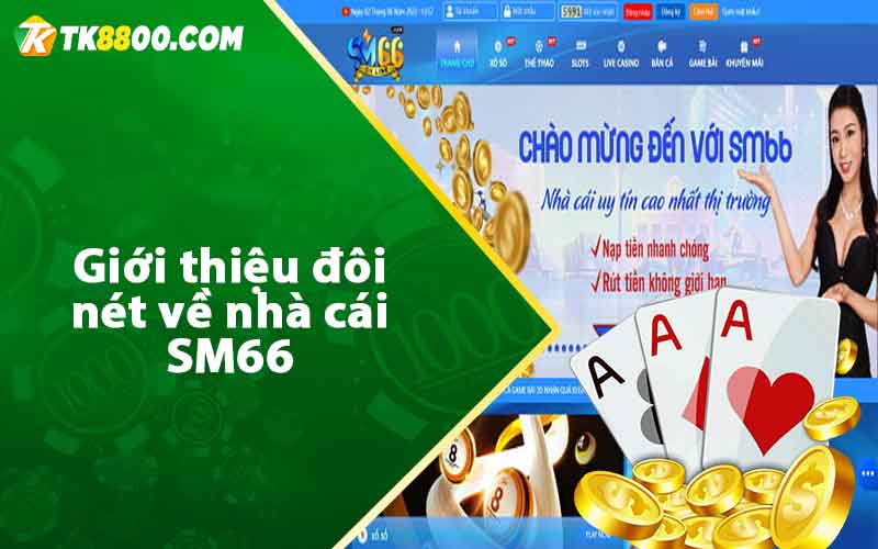 Giới thiệu đôi nét về nhà cái SM66