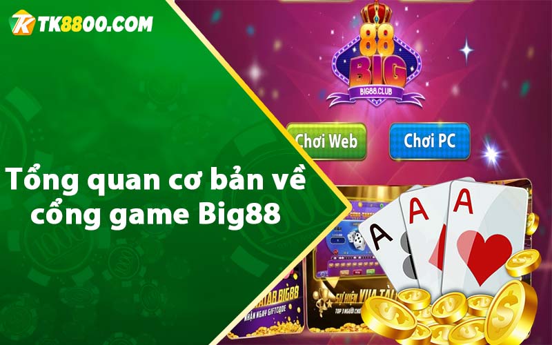 Tổng quan cơ bản về cổng game Big88 